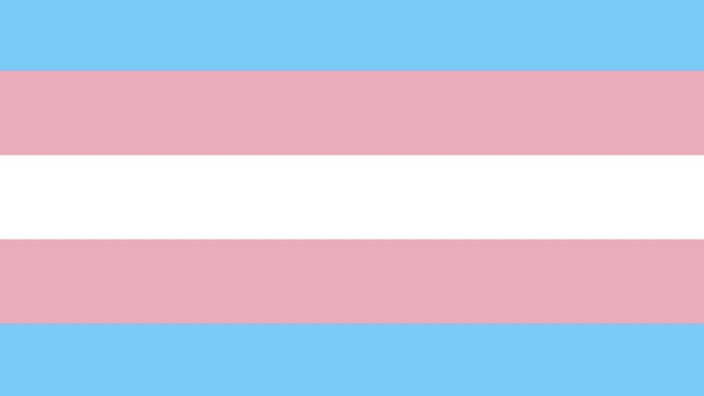 AytoParla's tweet photo. En el Día Internacional por #DespatologizaciónTrans, reiteramos que los derechos de las personas trans son derechos humanos. 
Desde el Ayuntamiento nos comprometemos con la plena inclusión de este colectivo y defenderemos la diversidad sexual y afectiva #NoEstigmas https://t.co/whkCpTVpC5