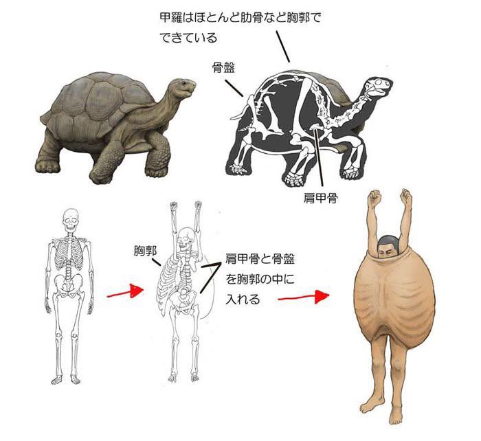 scienceshitpost's tweet photo. https://t.co/Gm4tt8rpeg
