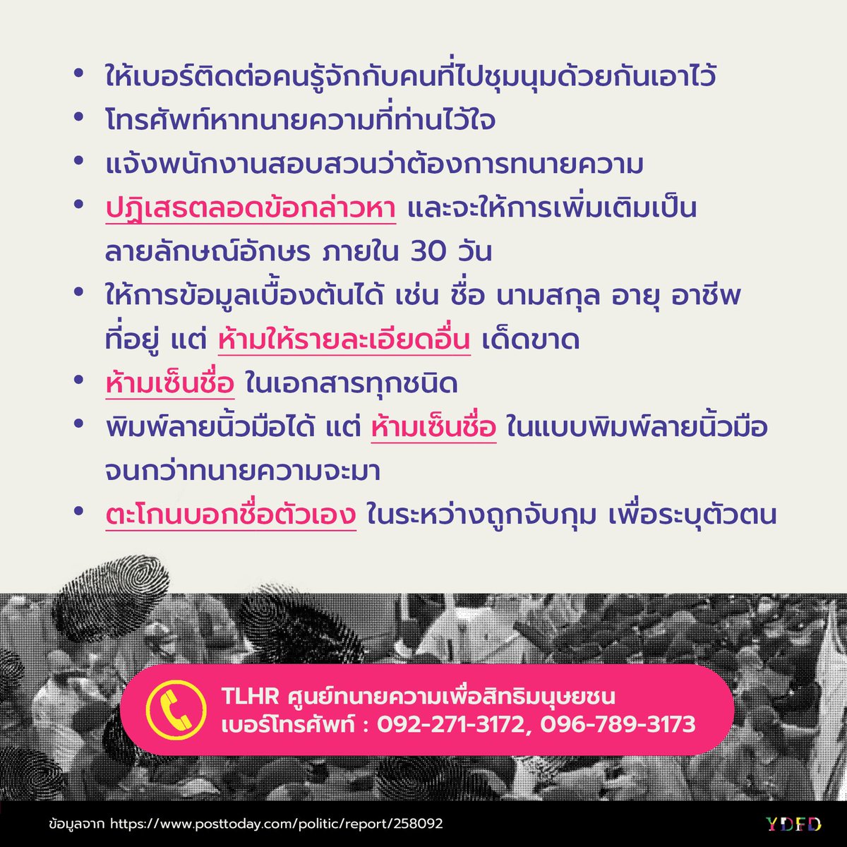 mlyn lee tweet media