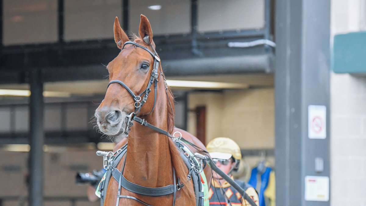 𝐀𝐥𝐥𝐢𝐞𝐝 𝐄𝐱𝐩𝐫𝐞𝐬𝐬 𝐀𝐩𝐩 Pace - alliedexpress.com.au

🐴 MAFUTA VAUTIN (first @CMTrackside win)
𝐓𝐑𝐀𝐈𝐍𝐄𝐑: Craig Cross 
𝐃𝐑𝐈𝐕𝐄𝐑: Jack Callaghan