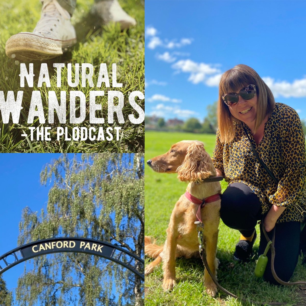 On your marks, get set, plod! Bake Off's Briony Williams <a href="/brionymaybakes/">Briony May Williams</a> joins us for this episode of the Plodcast as we chat about cakes, disability, mental health and acceptance.  #baking #gbbo  #greatbritishbakeoff #MentalHealth #Disability #BlackLivesMatter  #thismumruns