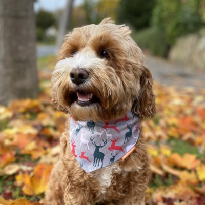 parker_chops's tweet photo. #NewProfilePic https://t.co/Cr9WntGNi0