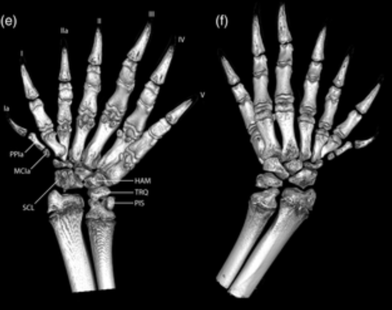 Martin Cake tweet media
