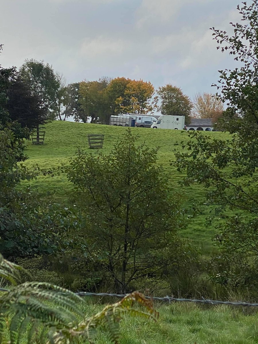 **Hunt Alert - Cheshire Forest in Over Alderley**

And here we go again ....