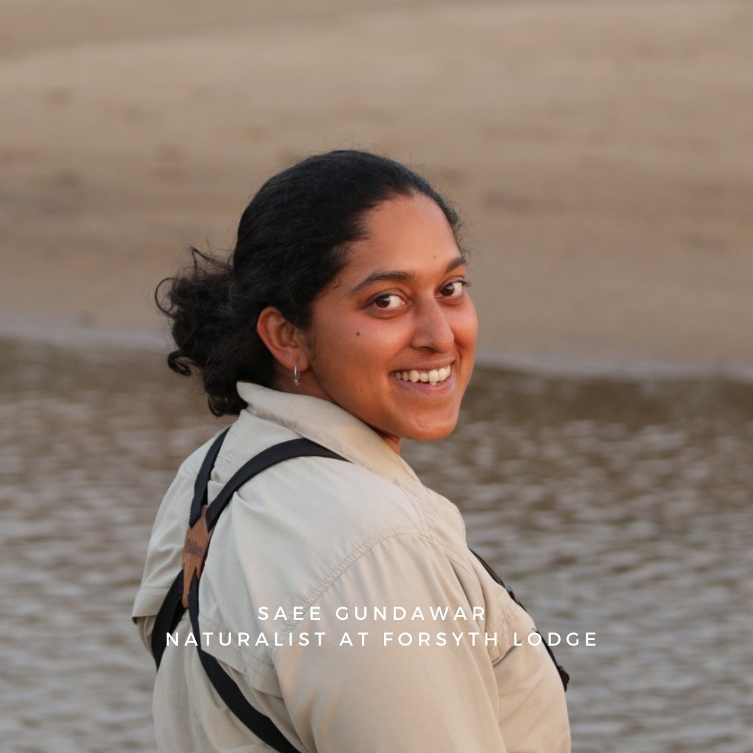 cityandimag's tweet photo. Saee Gundawar, Naturalist at Forsyth Lodge, reveals her love for a trail discovered hundred and fifty years ago in Satpura. 
@gundasaee #CityandI #TravelBeginsAgain #travel   #wildlife #traveling #weekendvibes #adventure #nature  #naturelovers #exploremore https://t.co/5OSTguHTsi