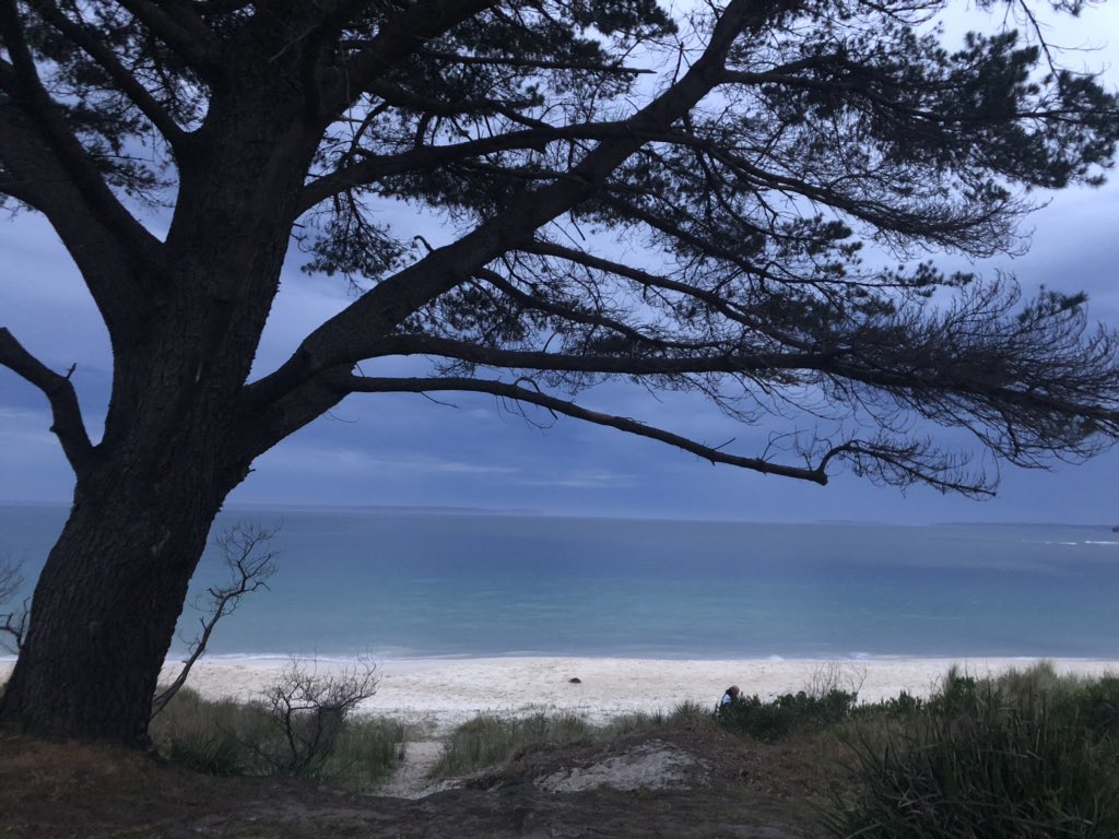 Elemo_Q's tweet photo. #HuskissonBeach #CurrentView #GalataWaaqaa https://t.co/SEEfW0lfVf