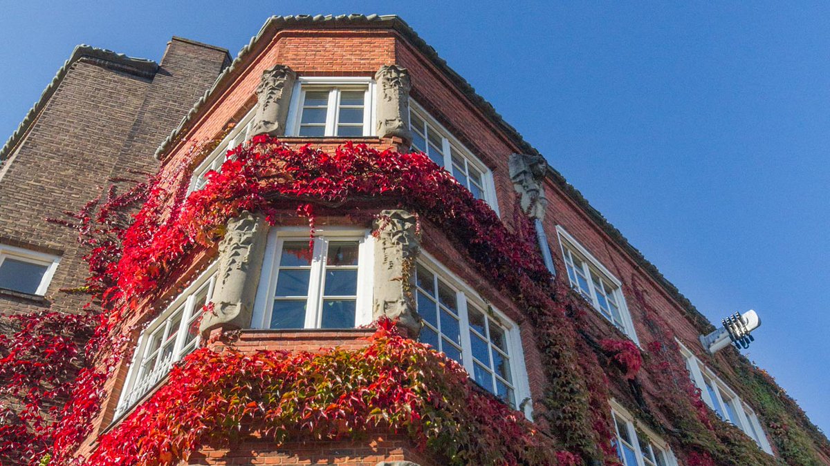 wndngn's tweet photo. Vaste prik deze periode: de blokken van Jop van Epen/Meindert Lippits en Barend van den Nieuwen Amstel jr. in Oud-Zuid bezoeken! #herfst #wingerd https://t.co/1mYYLU42W0