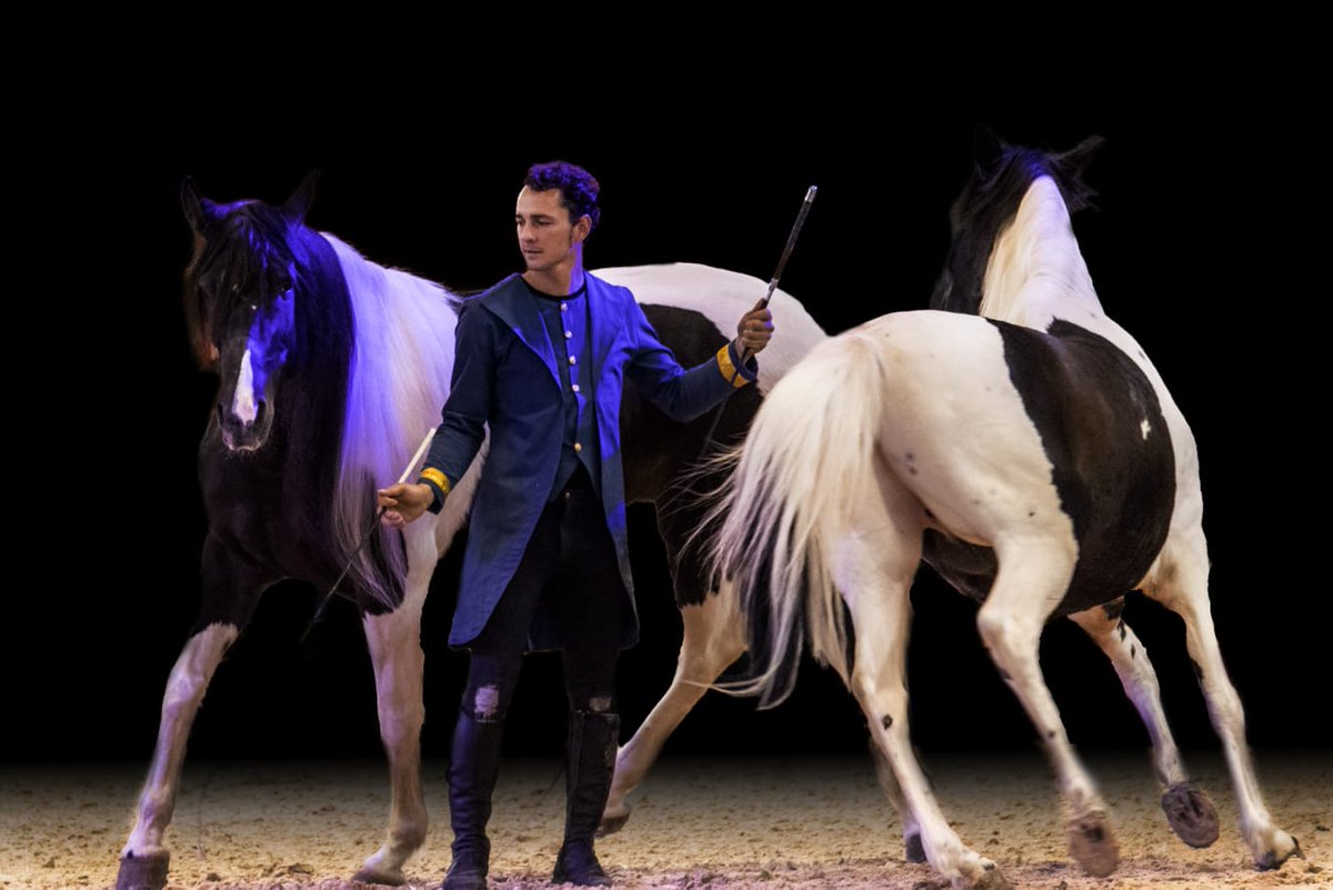 CordobaEcuestre's tweet photo. Espectacular y única actuación en " Arte Ecuestre en los patios" con Paco Martos y Córdoba Ecuestre, hoy en las #caballerizasrealesdecórdoba a las 19:30 h, Que mejor plan!! 🐴🐴🐴 Tu entrada en: https://t.co/xf6lKgEfmE #iprodeco #diputacióndecórdoba https://t.co/WlQIChPtp2