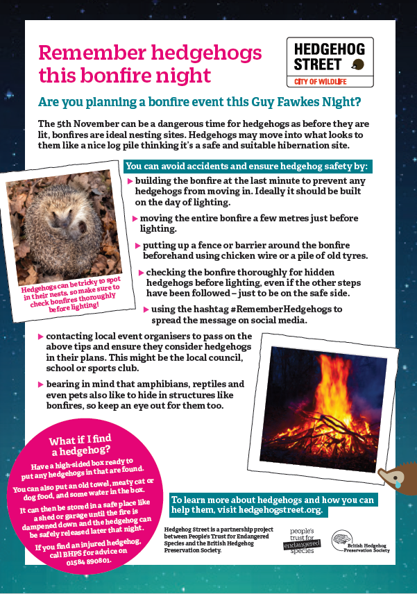 PTES's tweet photo. Our #bonfire piles look like the perfect nest to a #hedgehog! Simply checking your log pile or moving it on the day of lighting could prevent accidents. Please share our guidance poster #RememberHedgehogs  🦔 https://t.co/2skY67ibvi

#HedgehogStreet is run with @hedgehogsociety https://t.co/STxYV7Zof2