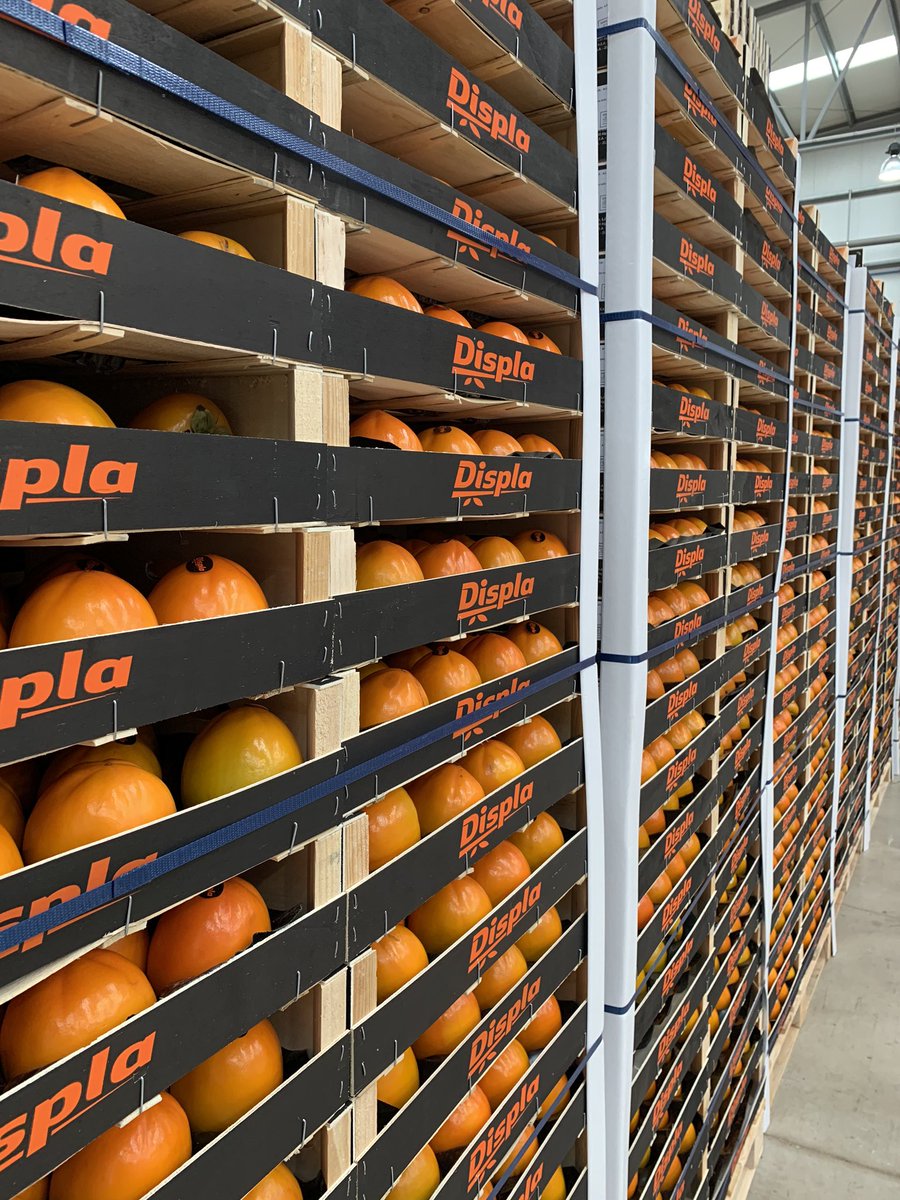 Displafruit1's tweet photo. Buenos días familia! ☀️

🍑 Es el momento de esta maravillosa fruta 🍑

Desde nuestro almacén trabajamos con cuidado y sin descanso para poder llegar a todas vuestras casas 🤗 ✨

Porque las cosas cuando se hacen con cariño, es difícil que salgan mal. 

🍌🍓🍑🍒🍊

#persimmon https://t.co/lG6OylcanC