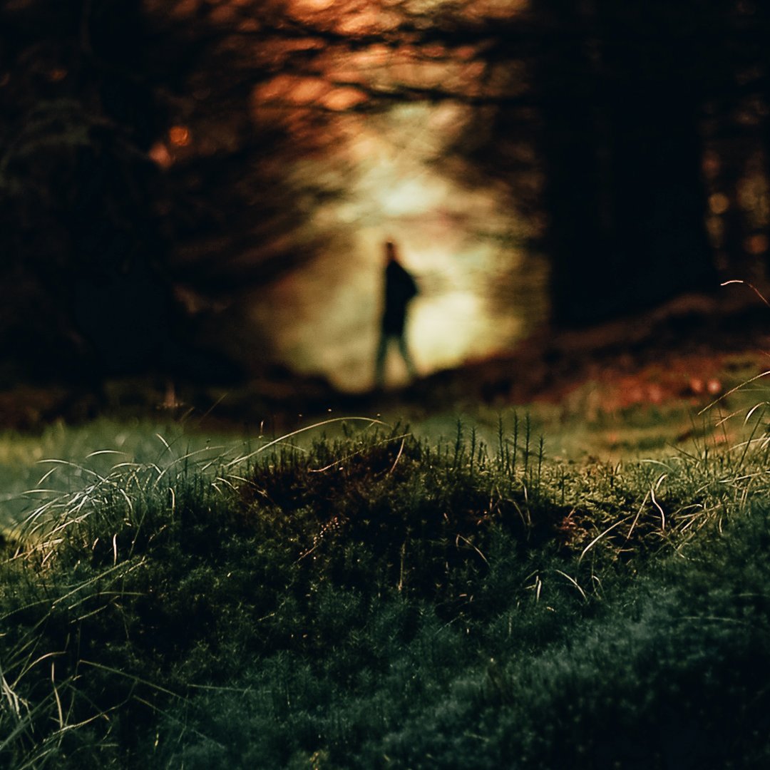 Scotland’s magical, temperate rainforest, also known as
Atlantic woodland or the Celtic rainforest, is a unique
habitat of ancient and native woodland, open glades,
boulders, crags, ravines, and river gorges.
.
Welcome to Drimmie Woods
.
#theblairgowrieseries #perthshire