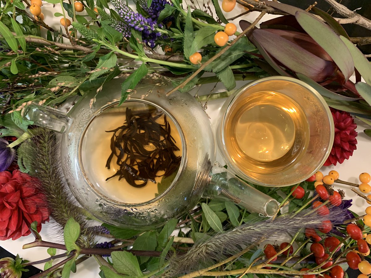 Jersey Autumn Black Tea. #handcraftedtea #organictea #organicjerseytea #jersey #tea #looseleaftea #wholeleaftea #artisantea #teapeople #teabusiness #teareview #jerseybusiness #genuinejersey #farmjersey