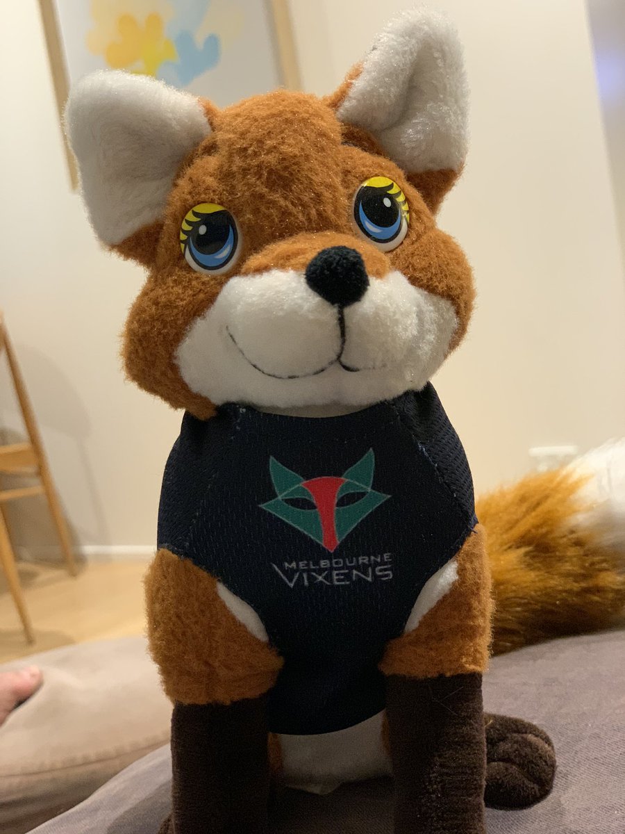 Emsyanna's tweet photo. This is Peggy. She has carbo loaded and had a light training session today. Tomorrow she will be READY FOR THE FREAKING GRAND FINAL. #govix @MelbourneVixens @peggyoneal17 https://t.co/lyTJbCbkAv