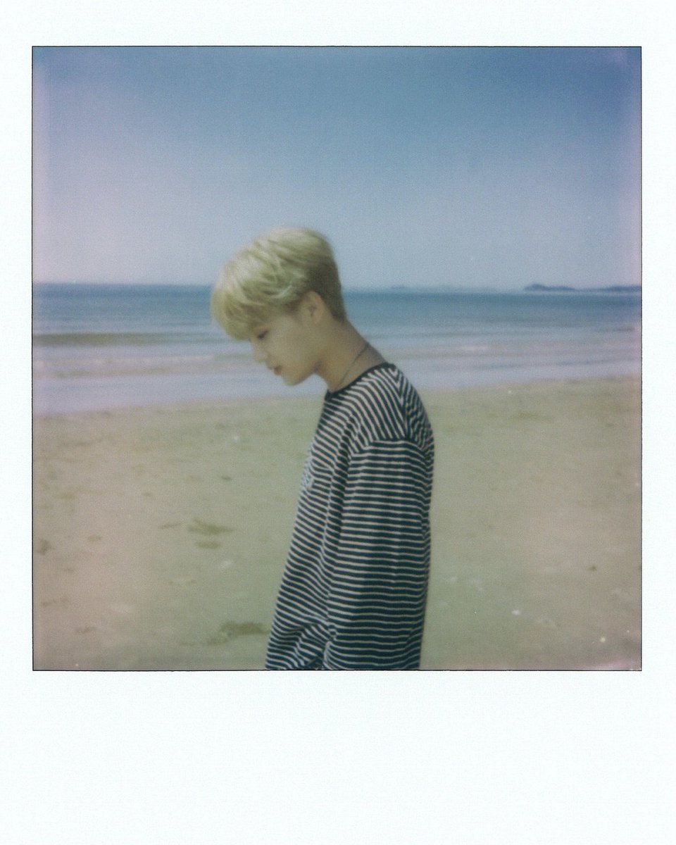 taeilzones's tweet image. cozy taeil polaroids 🤍