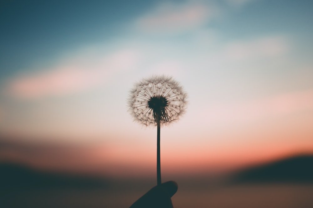 Meggyc18's tweet photo. @emerald1910 Hi Edmund 🤍 I just wanted to say you are NOT alone in this...there is so much life left for you to see. Take a look at the beauty of this sky. There is so much waiting for you here 💛. Thank you for reaching out. I hope you see how many people care 🤍. Take good care 🤍. https://t.co/SbNXwZNMYz