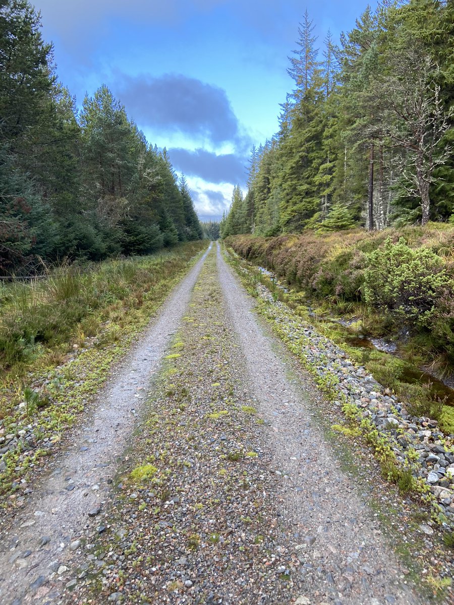 🏴󠁧󠁢󠁳󠁣󠁴󠁿Amzing trail runs this week around the Cairngorm National Park⛰🌲 Love it!💜🏃‍♀️ <a href="/Badaguish1/">Badaguish</a> <a href="/TheCairngorms/">The Cairngorms</a> <a href="/Rothiemurchus/">Rothiemurchus</a> #seasgairHandpickedLodges