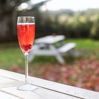 The Ginger Fox tweet media