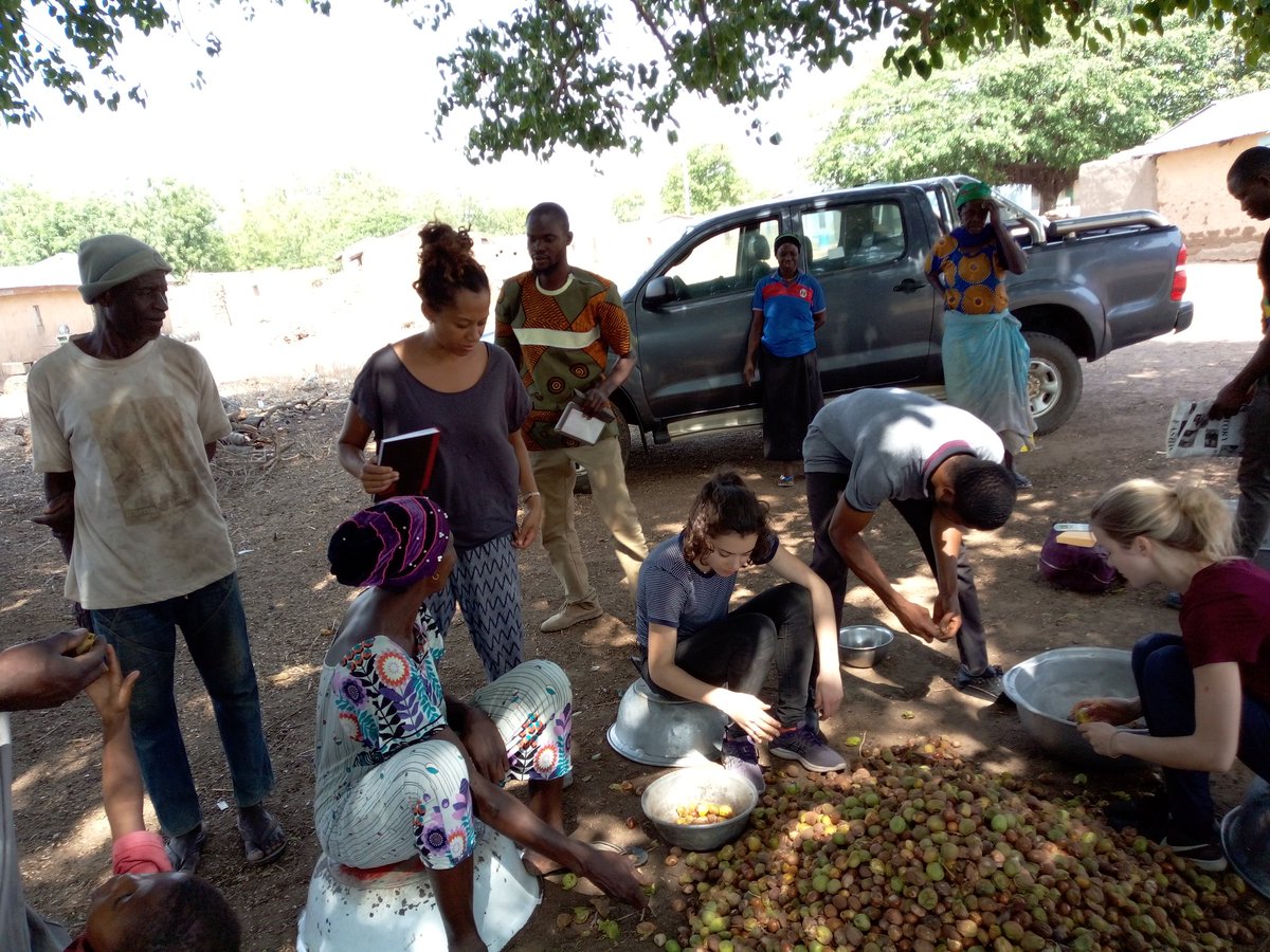 AdamsAbdulHami2's tweet photo. #agrisolve #greenconnect_y #worldfoodday #growyouth #youth_inclusiveness_in_agriculture #international_day_for_the_eradication_of_poverty #sheabutter #rural_transformation #capacity_building #lift_stanford_design_for_extreme 
@Tondaar2 https://t.co/dh6A3scyKH