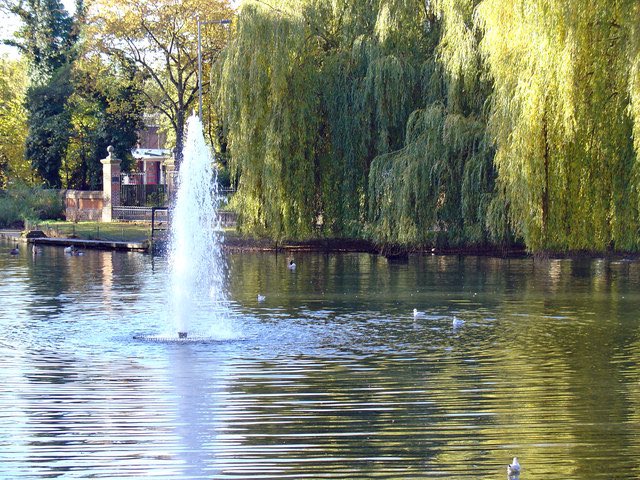 So many lovely places to walk all over our beautiful county of #Bedfordshire. It is going to be a crisp dry autumn day. A good time to pop outside for a refreshing walk or cycle if you can