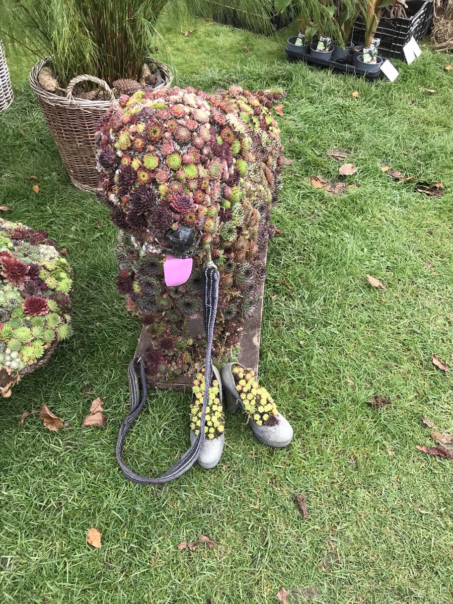 Firle Estate tweet media