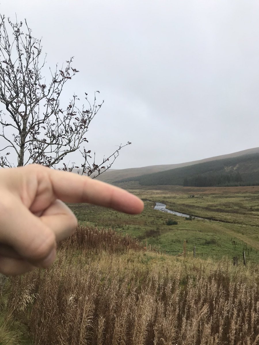 The Tweed Chronicles tweet media