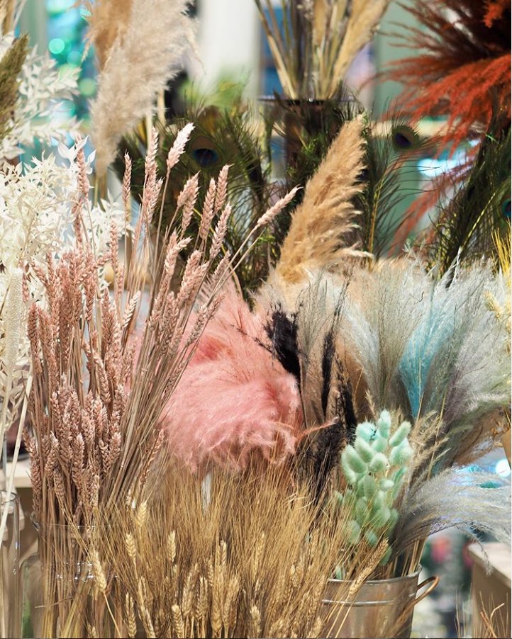 Soft and colourful dried flowers, natural but vibrant. Pastel pinks &amp; dreamy blues, we have stipa feathers, bunny tails, peacock feathers, bleached ruscus &amp; SO much more. Come down to see us here at @jlandpartners  Cheadle and choose your favourites. #ixiaflowerscheadle
