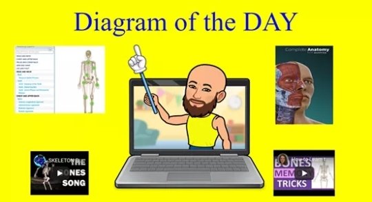 Eliejjjer's tweet photo. #BESGB #Upcoming #PE #Virtual #Learning #SkeletalSystem #Learnmove #MentalChallenge #Structure #Benefits #Types #Functions #Joints #Movement #Components #OnlineQuiz #StayTuned https://t.co/ZznwPVNkLi