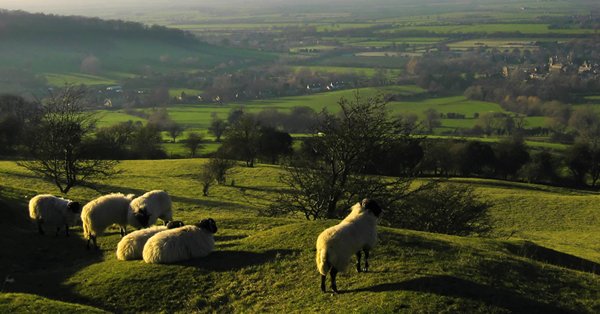 hatherleymanor's tweet photo. Escape the busy streets of the city and explore the rolling Gloucestershire countryside this Autumn. 🍂

20% off all stays until January 2021.

Link in bio. https://t.co/Mm3anY3o4M