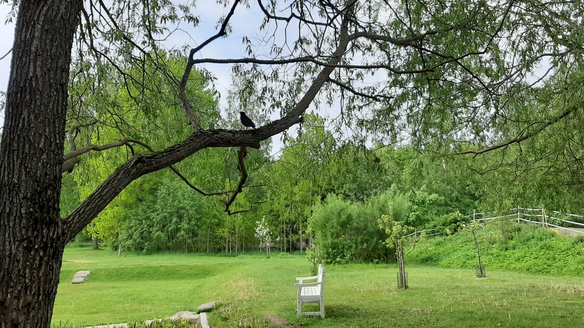 annalanhuvila's tweet photo. Sunnuntaina 18.10. klo 13 lähdetään huvilan terassin edestä Helsingin lintutieteellisen yhdistyksen (Tringa ry) oppaan Eero Haapasen kanssa tekemään lintuhavaintoja Annalan puistossa. 12 ensimmäistä mahtuu mukaan. Maskisuojaus!#annalanhuvila #tringa https://t.co/FWUDIpK9kE