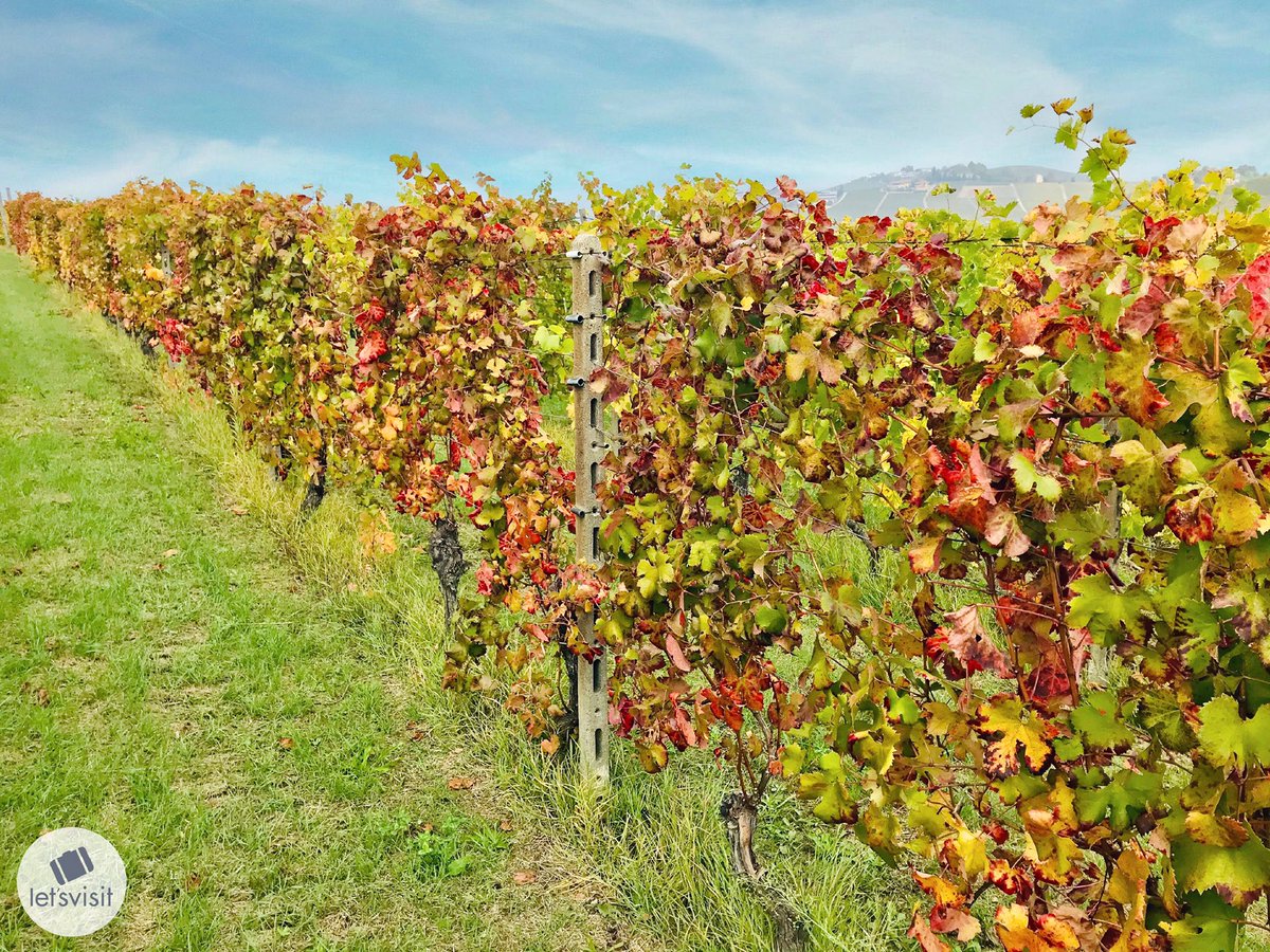 Let's Visit Piemonte tweet media