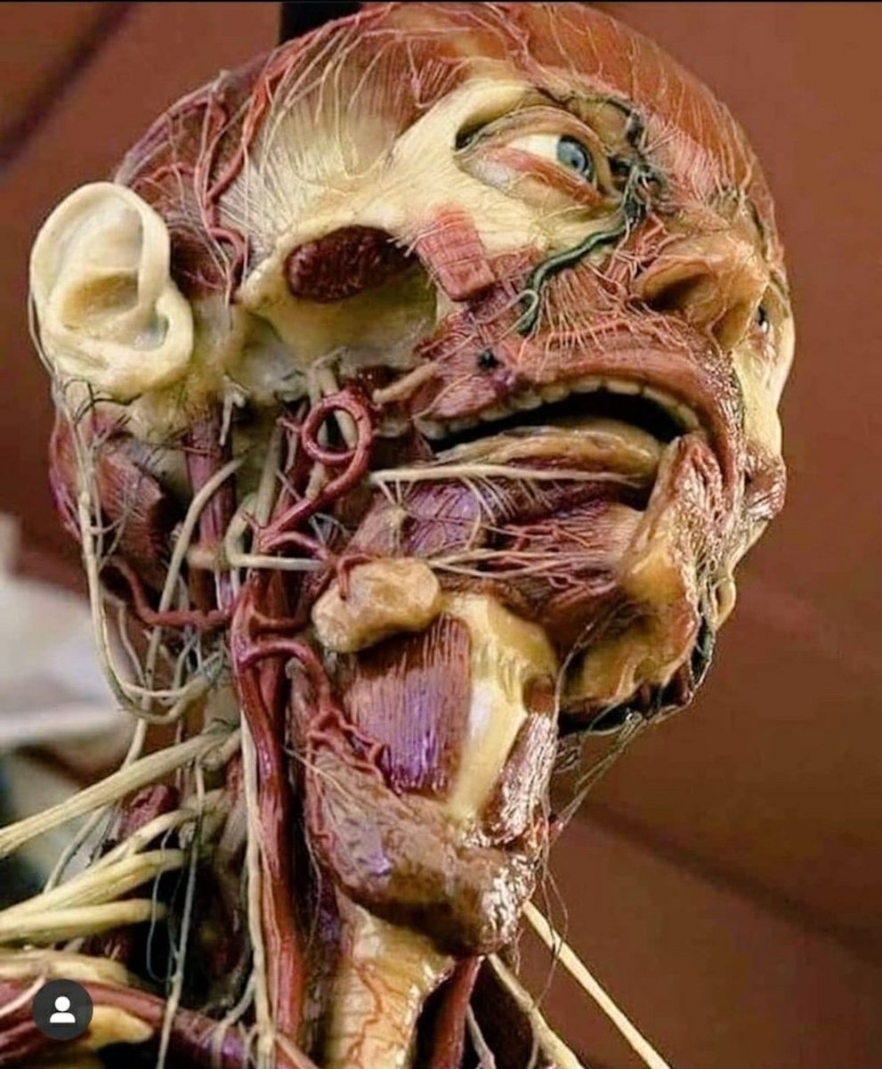 وجهك بلا قشرته الخارجية .. معجزة حقيقية...