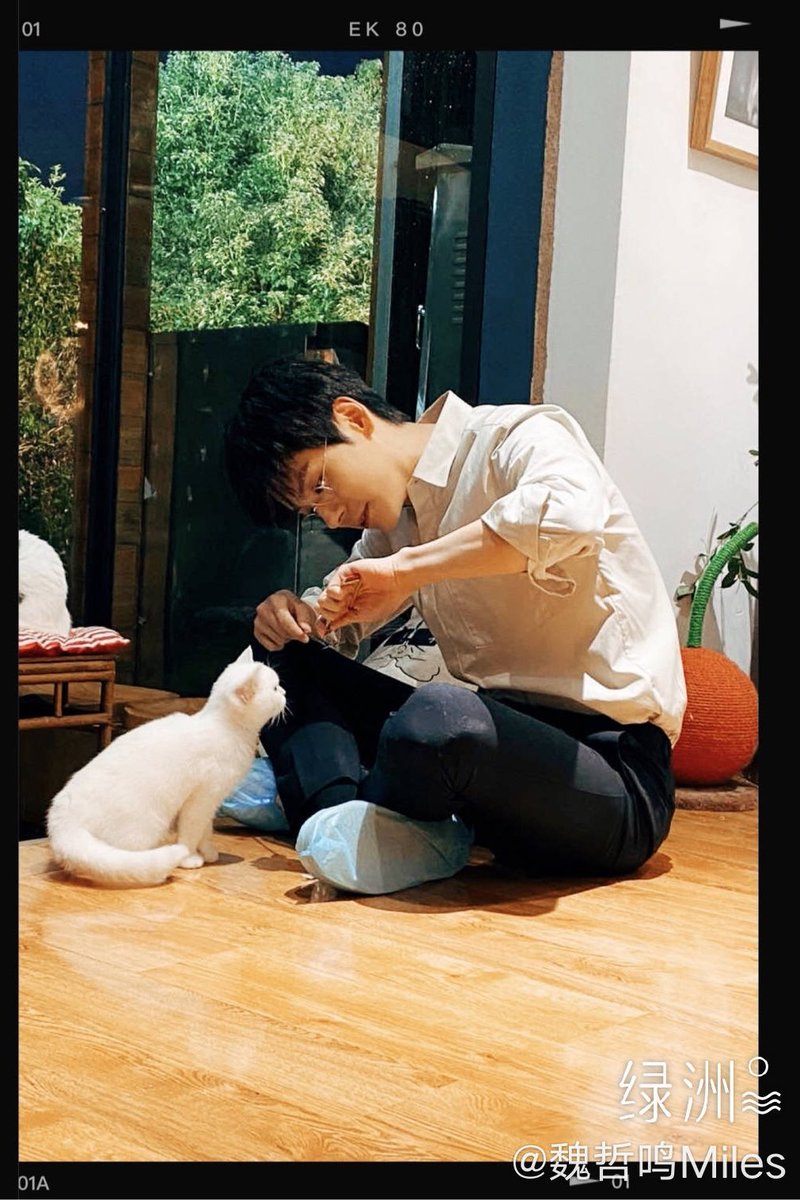 zheming with a cutie catto; two cuties in one frame 