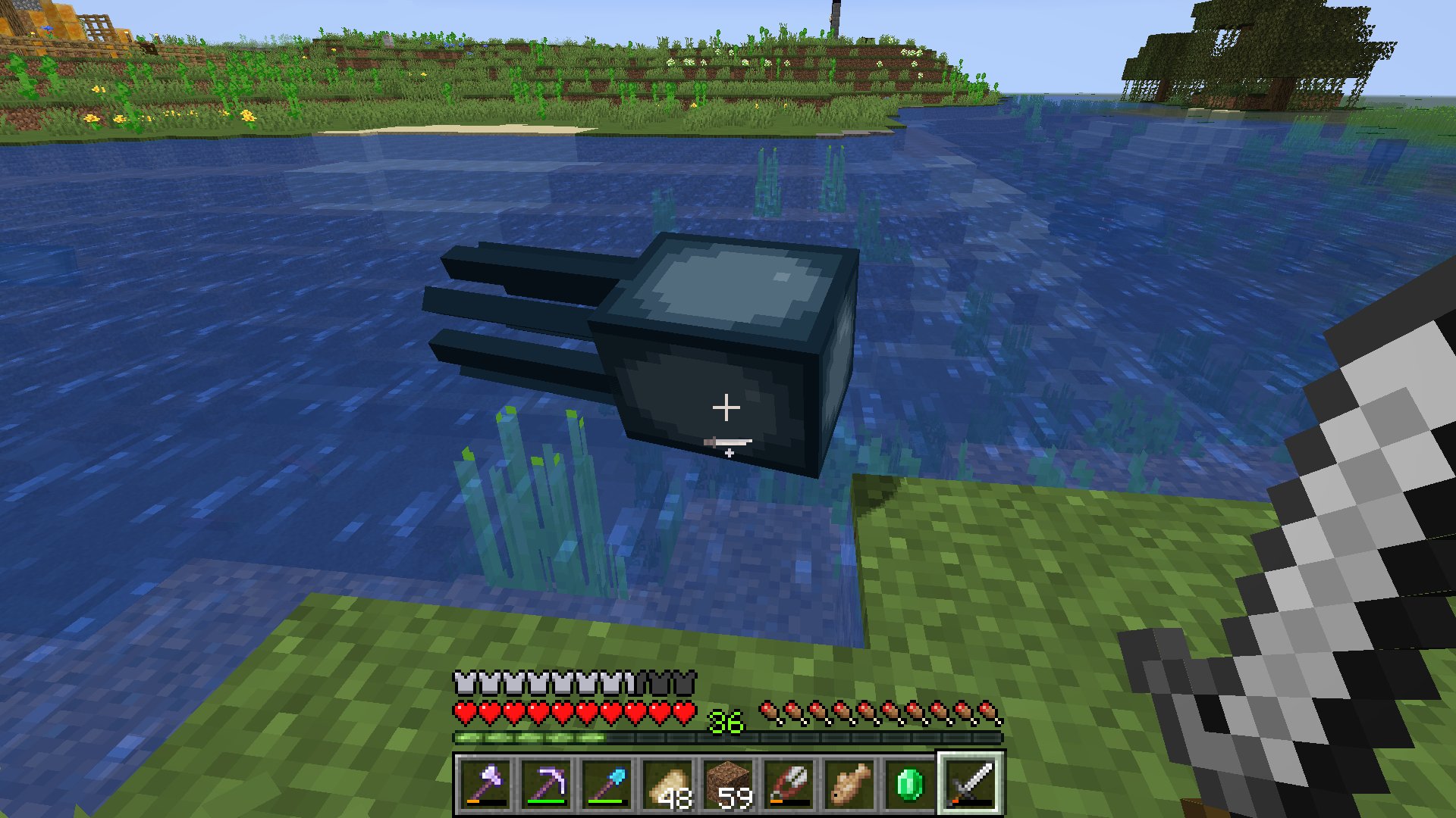 ルー マイクラあるあるだと思うんですけど 泳いでたイカが陸に上がってしまいそのまま窒息死 というのが多発している 何気なく川に行ったら 近くの陸にドロップアイテムのイカスミが転がっていることもしばしば マイクラ マインクラフト