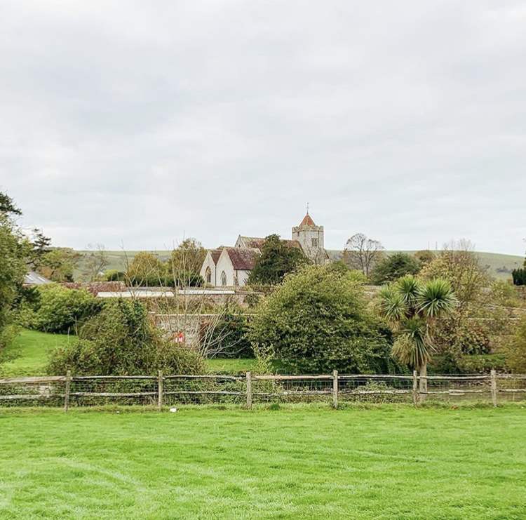 Firle Garden Show tweet media