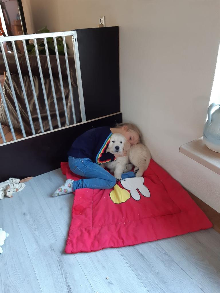 HeleenPrssMttrs's tweet photo. Nog een week. #Djoek #7weken #KleineSpeklap https://t.co/Tcf2FesKBr