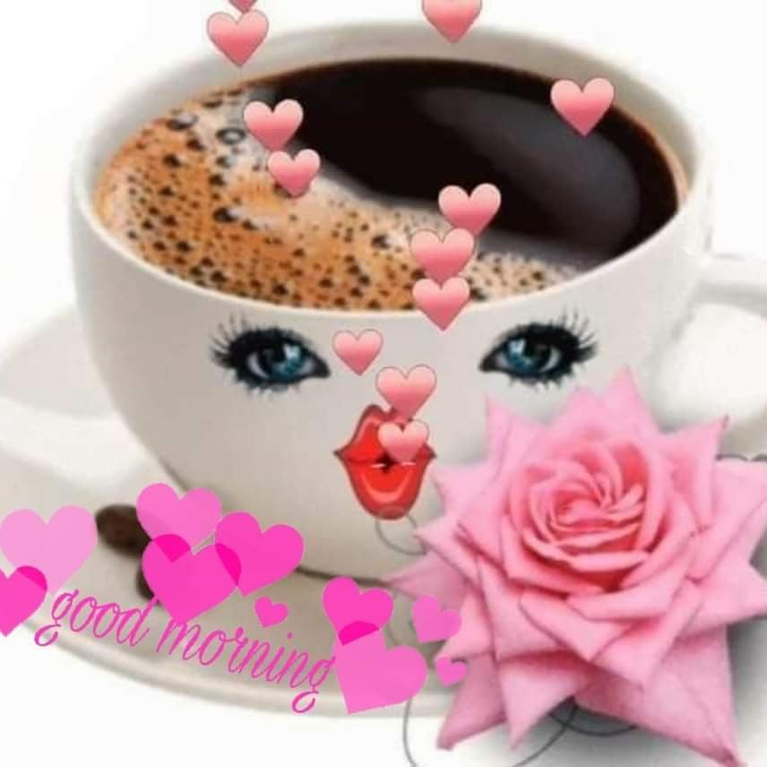 mate_ame's tweet photo. Bonjour💓

#soulmateoramesoeur 💔

#ladiescercle  #single #singlewoman #singlelady #relationshipgoals #sexrelation #marriagerelationship #singlesoul #singletraveler #singlebaby #singlewife #soulmate #amesoeur #celibataire #femme #fille #filles #femmes #love #amour 💔 https://t.co/bax6SDBO7a