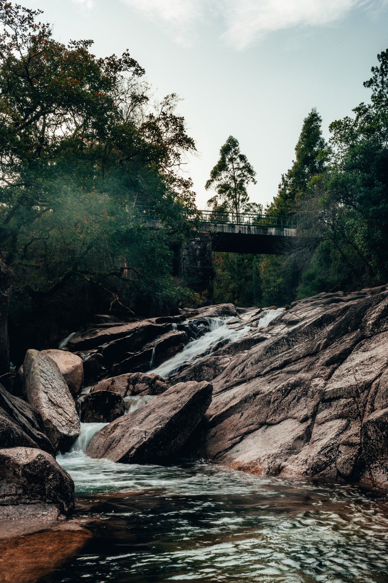 MDF_000's tweet photo. #mood #wildernesstones #folkscenery #earthoutdoors #stayandwander #escapeandwonder #nomadict #mountainstories #roamtheplanet #mthrworld #natgeotravel #voyaged #wildernessnation #wondermore #AwakeTheSoul #artofvisuals #moody #agameoftones #photo #photography #photographer https://t.co/jXOBJA6xRR