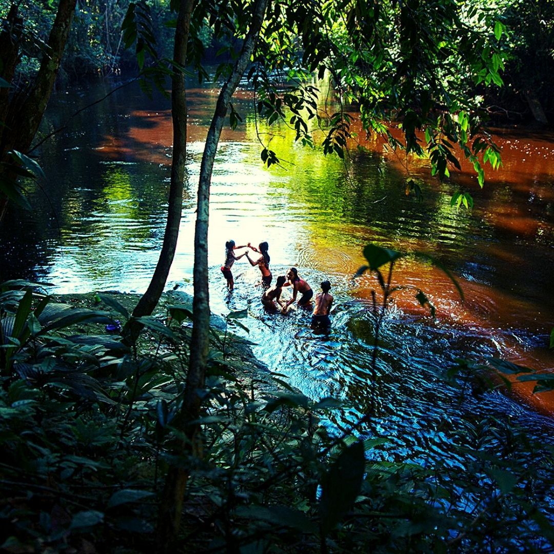 LeCielFdn's tweet photo. How are you celebrating #WorldRainforestWeek? 🌴🌿🌍
Photo by Tinko Czetwertynski
#nature #planet #earth #rainforest #savetheforests #biodiversity https://t.co/G167nC42gX
