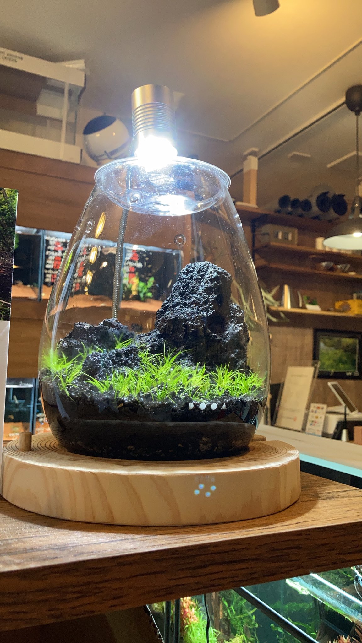 ガラスポット SHIZUKU二点 DOOA GLASS POT SHIZUKU | アクアレビュー｜ADA正規代理店