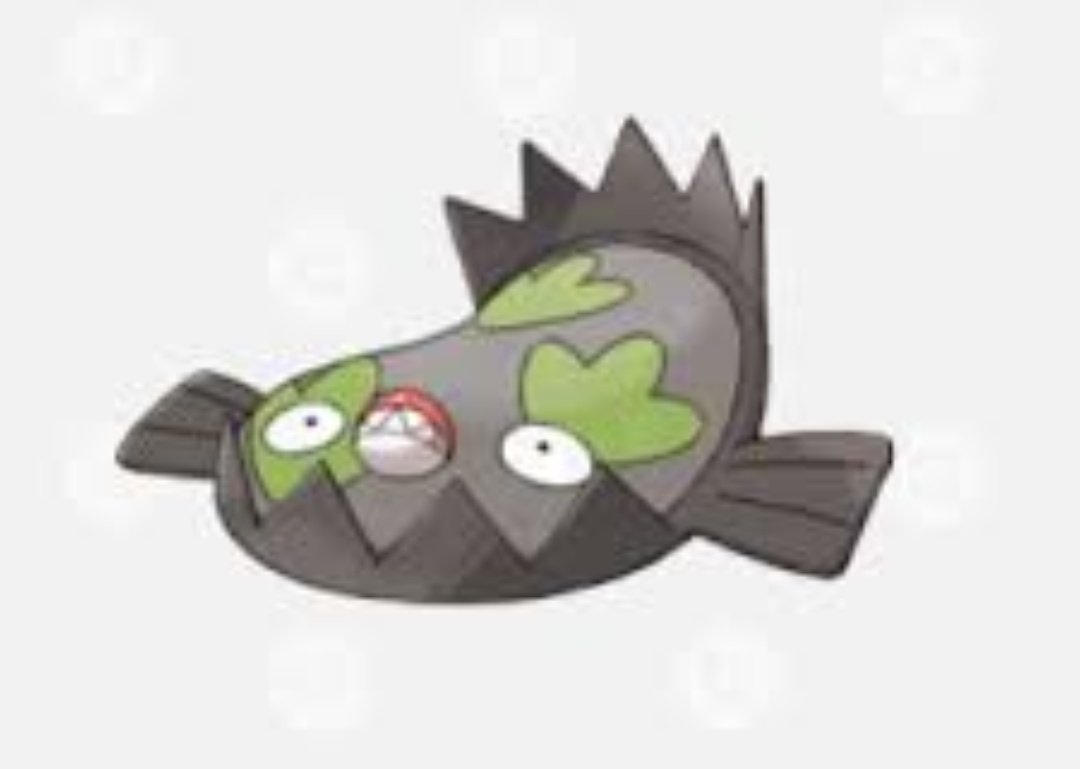 コノハズク Owl 0303 Twitter