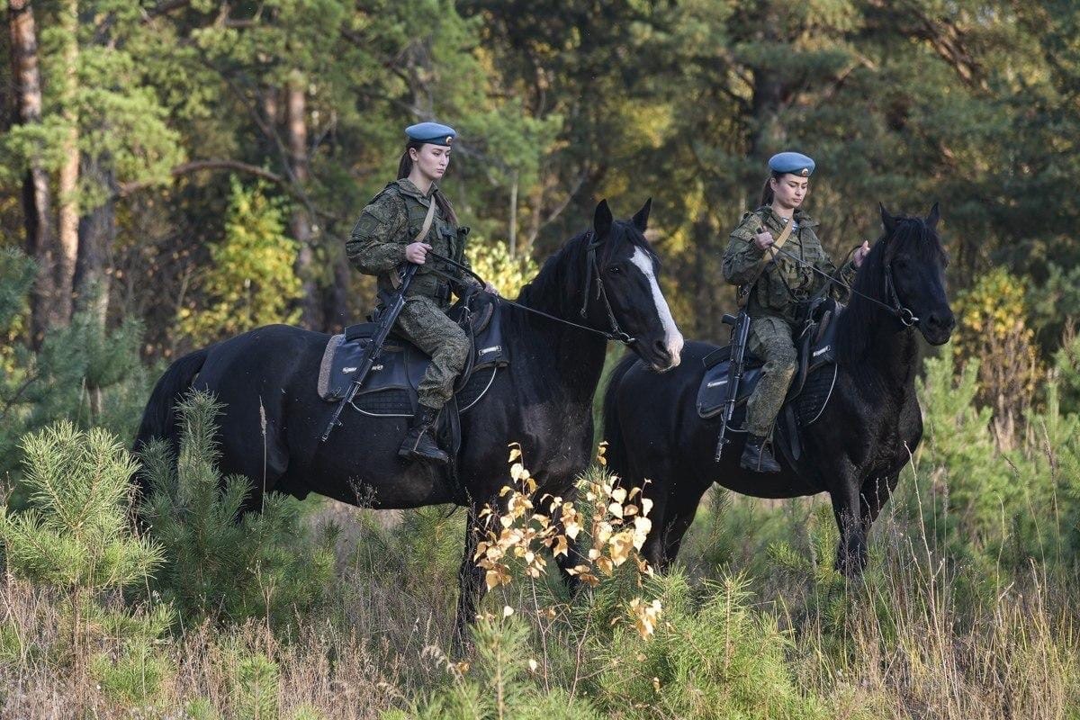 Конно рысью. Военный конь. Конные войска. Конные войска России. Военный на коне.