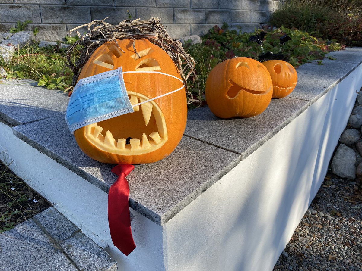 Mr #trumpkin and his friends