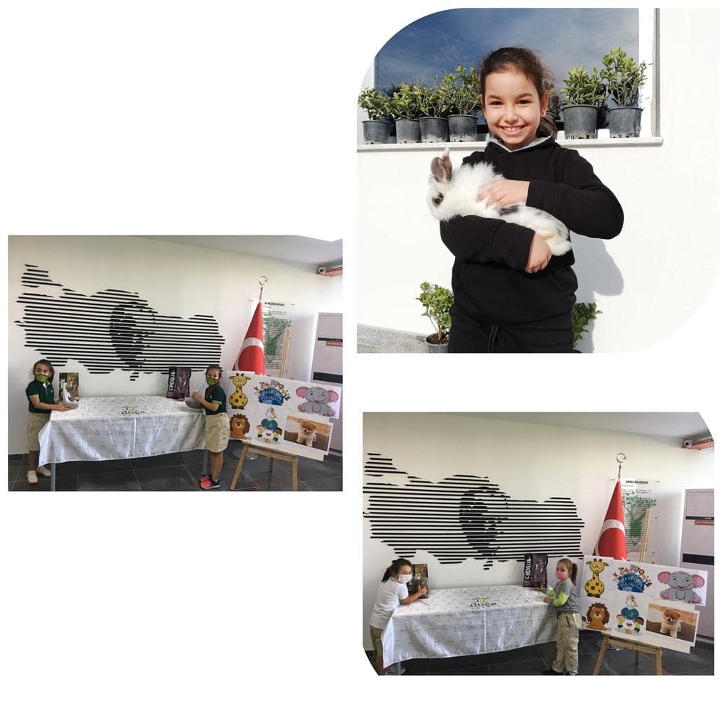 torbalidoga's tweet photo. 🐶🐱🐼🐰🦁🦋
Doğa hayvan dostlarımızla daha güzel...
Doğayı bizimle paylaşan sevimli dostlarımızın yaşama haklarının güvence altına alınması için bu yıl 7.sini gerçekleştirdiğimiz “Bir Kap Mutluluk Projesi”ni tamamladık.

#torbalıdogakoleji 
#dogakoleji 
#Torbalı 
#BirKapMutluluk https://t.co/wkeh41gMoy