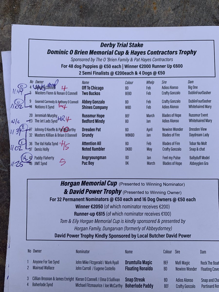 betbrowne2015's tweet photo. Latest Show from Abbeydorney @BoylesportsDamo @KeenanSean @buff4dogs https://t.co/IW8gkC9etP