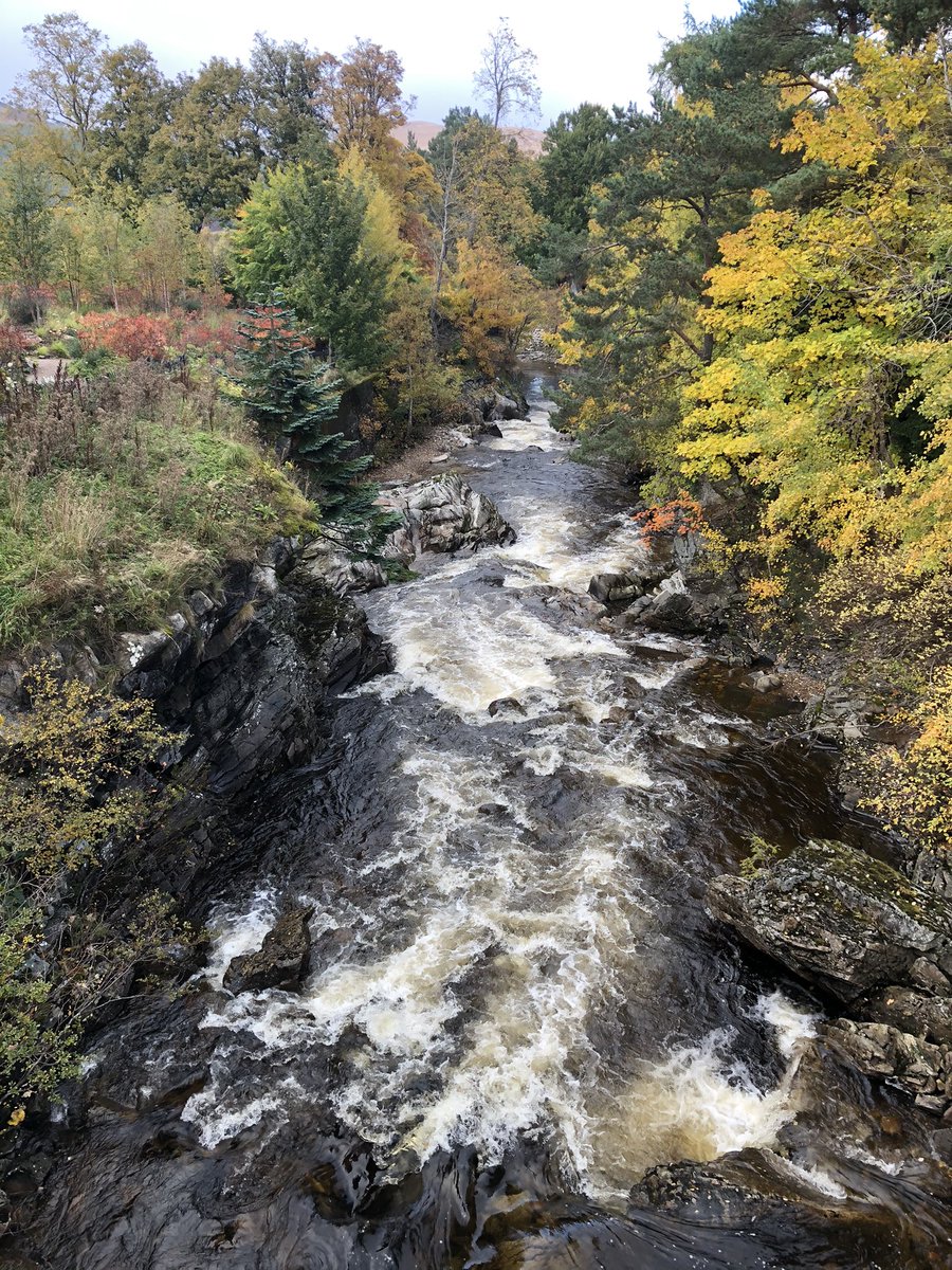 Fantastic few days staying in beautiful #Braemar earlier this week. Stunning scenery plus great walks, especially @MarLodgeNTS .

#SchoolHolidayFun
@visitabdn @VisitCairngrms