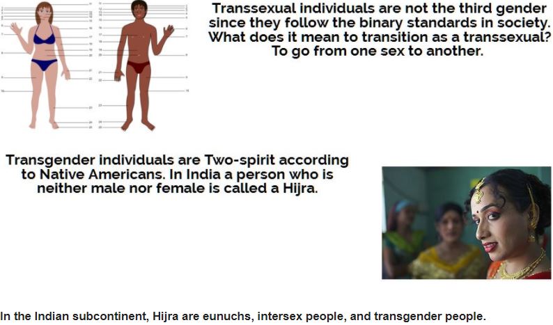 MyModule1's tweet image. New #free class for #middleandhighschoolteachers - #gender #sex and #sexuality HIJRA bitly.ws/a9R8 LGBTQQIA School Bullying: A Digital Storytelling Approach In Teaching The Teacher