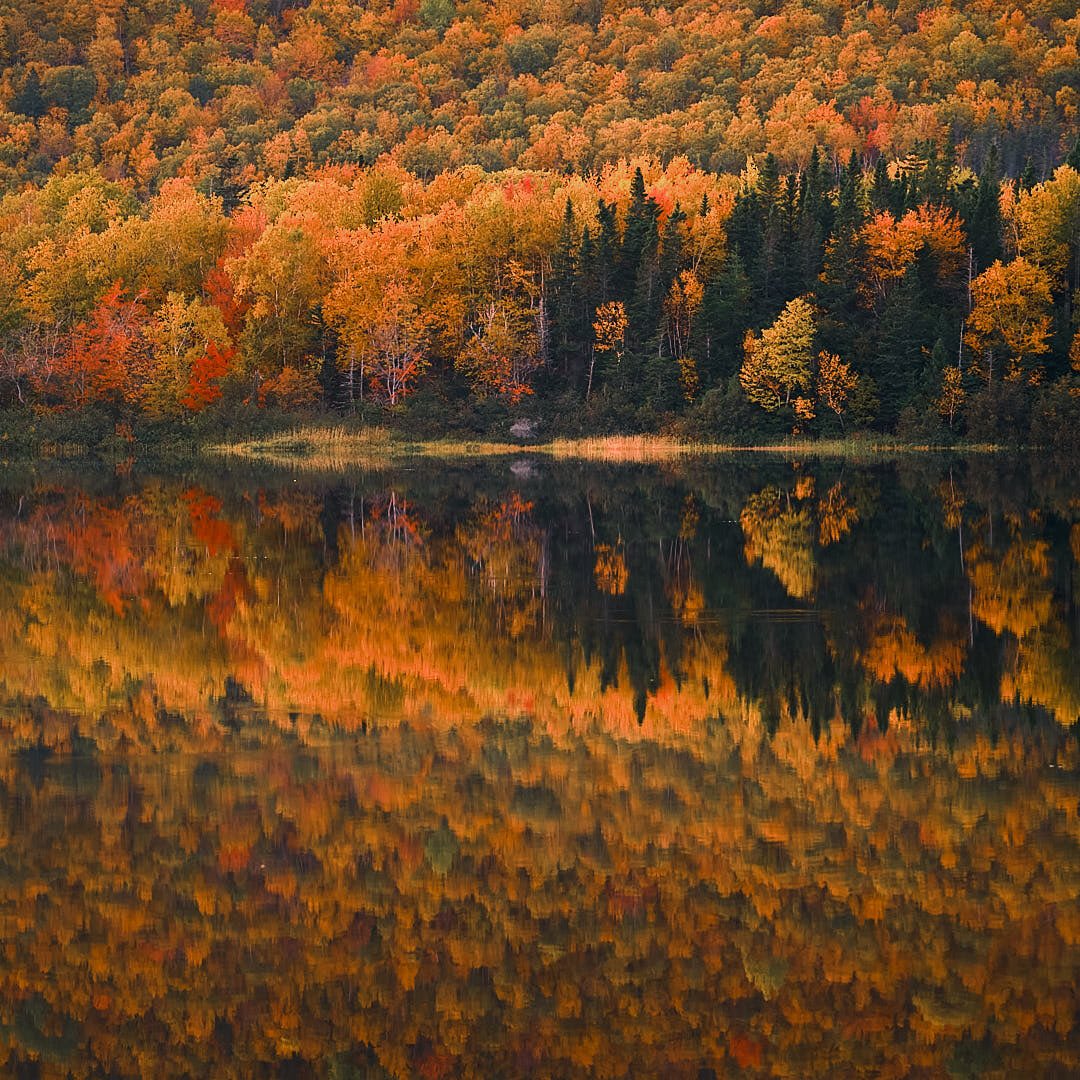 Quick!  Hit ‘pause’!

The colours here in Western Newfoundland are currently out of this world!  Wish they would hold on a little longer!

#westernnewfoundland #fallcolour #fallcolor #humberriver #humbervalley #steadybrook #humbervillage #fujifilm #xt4 #xf1680