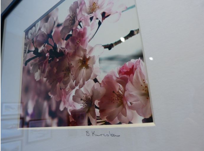 ArnotArtMuseum's tweet photo. The Holiday Art Market features nine local &amp; regional artists including Barb Kurcoba.
Barb is an accomplished photographer who has graced the Market with beautifully matted and framed botanical &amp; travel photographs. A selection of fine cards with her images are available as well. https://t.co/CfnO4LMo74