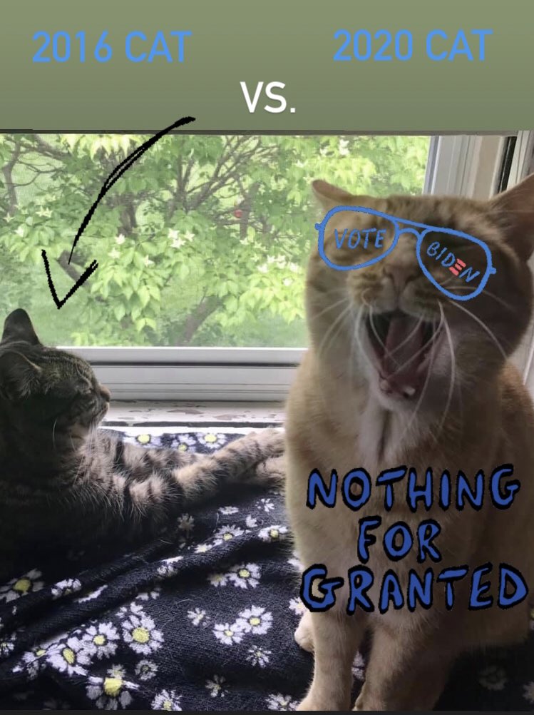 demokittens's tweet photo. @JoeBiden #democats #VoteBidenHarris2020 #CatsOfTwitter #VoteEarly #hestalkingtous https://t.co/xLhvhqlqa9