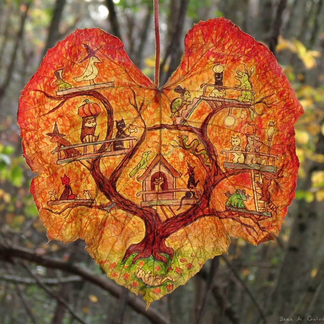 bettadazed's tweet photo. #autumn #leafdrawing #grapeleaf https://t.co/fdF8b5Mqdz